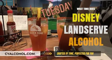 When Can You Enjoy Alcohol at Disney Land: A Guide