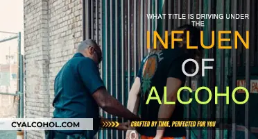 Alcohol and Driving: A Dangerous Mix