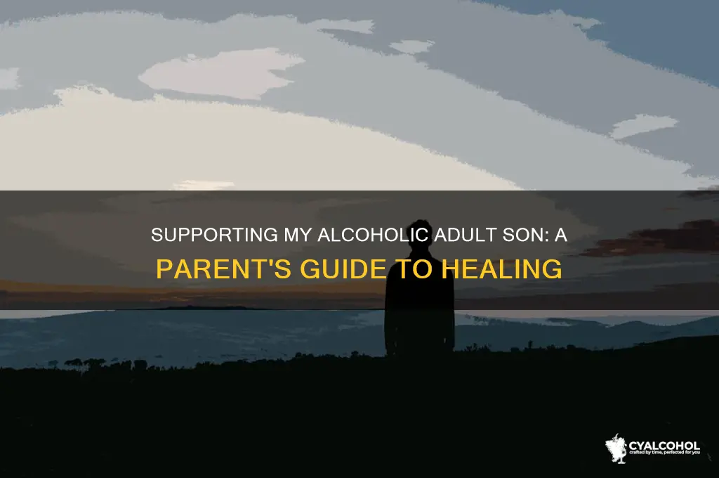 what to do about my alcoholic adult son