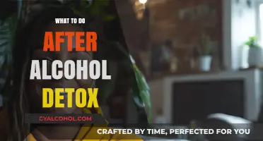 Life After Alcohol Detox: Rebuilding Health, Habits, and Hope