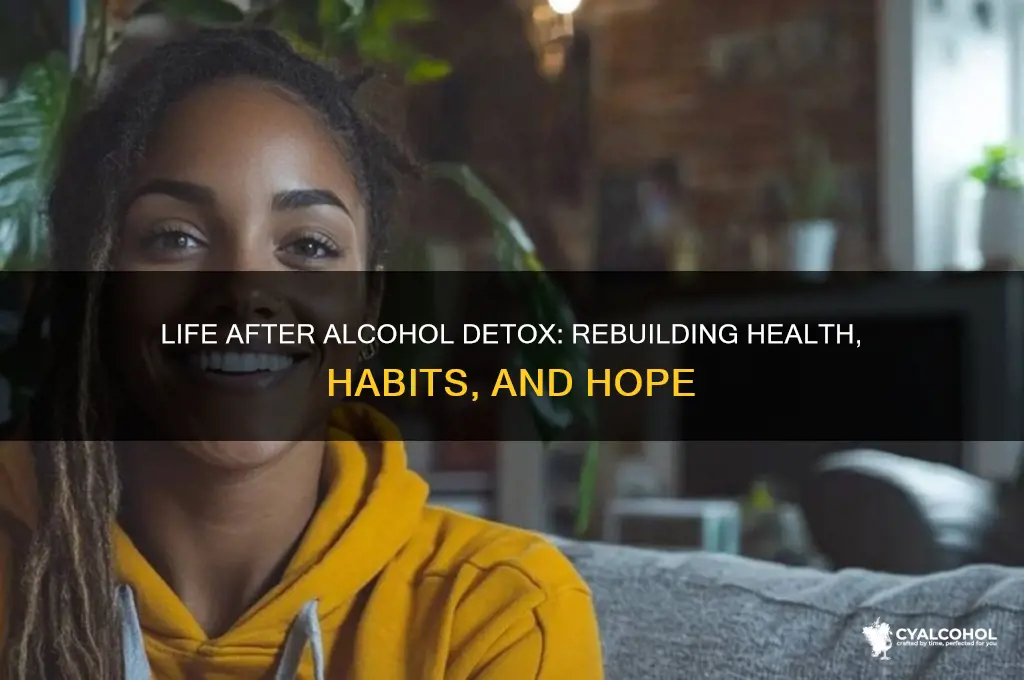 what to do after alcohol detox