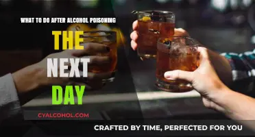 Alcohol Poisoning: Next-Day Recovery Tips