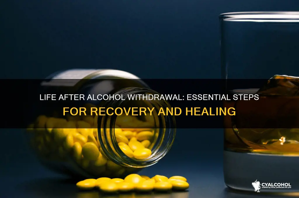 what to do after alcohol withdrawal