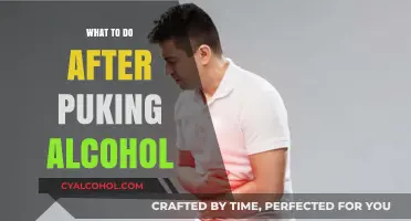 Recovering After Alcohol-Induced Vomiting: Essential Steps for Relief and Recovery