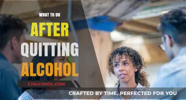 Life After Alcohol: Steps to Heal, Grow, and Thrive Soberly