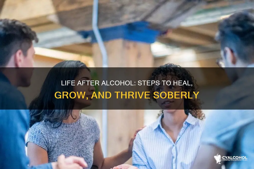 what to do after quitting alcohol
