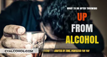 Recovering After Alcohol-Induced Vomiting: Essential Steps for Relief and Recovery