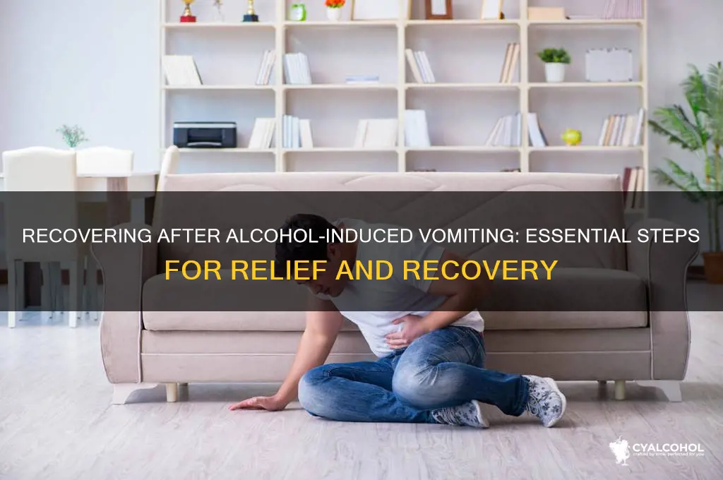 Recovering After Alcohol-Induced Vomiting: Essential Steps For Relief ...