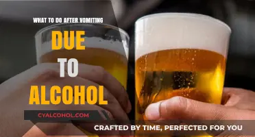 Recovering After Alcohol-Induced Vomiting: Essential Steps for Relief and Recovery