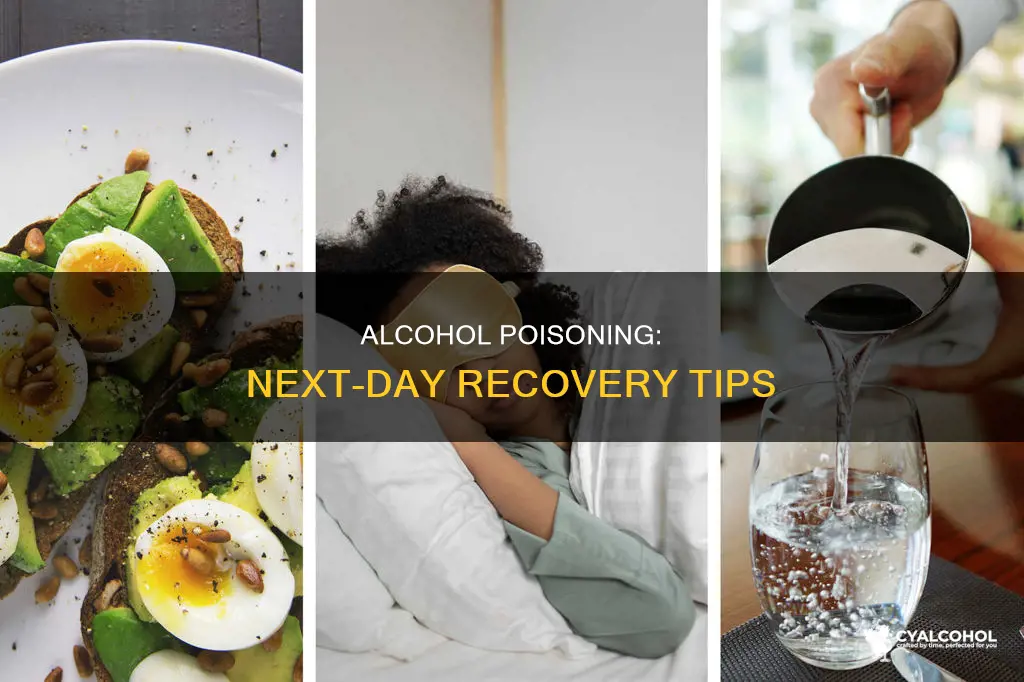 what to do for alcohol poisoning the next day