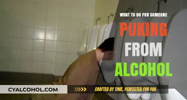 Helping Someone Who’s Puking from Alcohol: Quick and Safe Steps