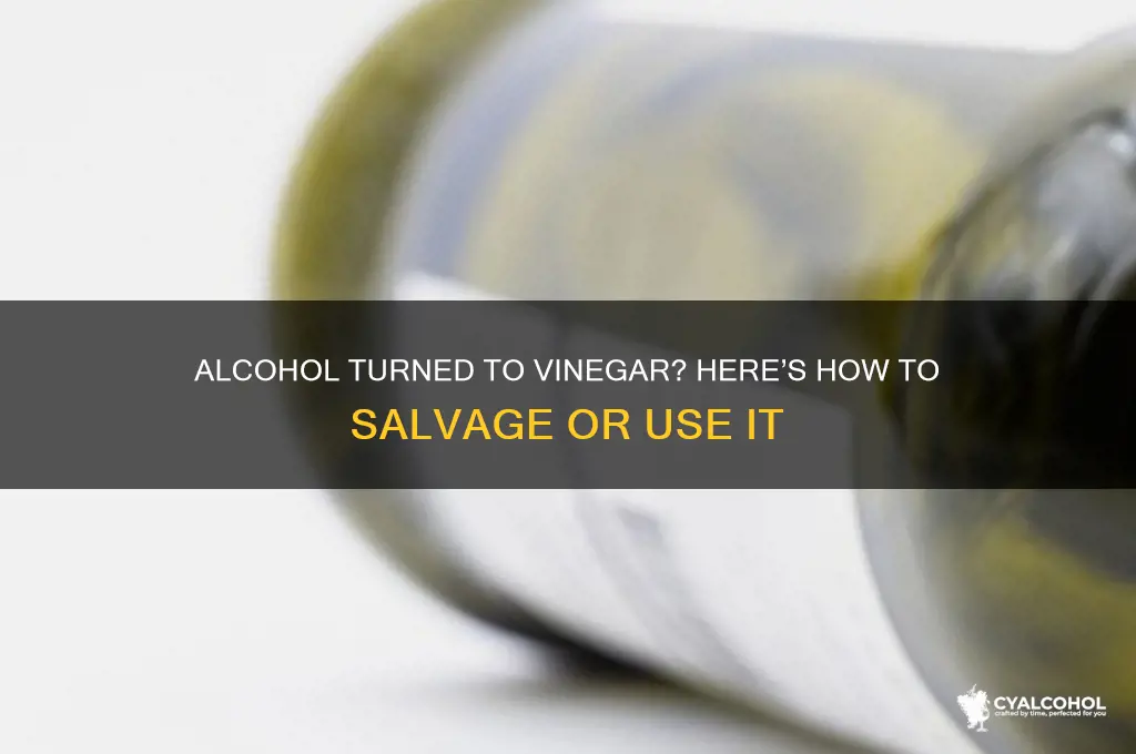 what to do if alcohol turns into vinegar
