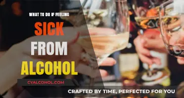 Feeling Sick from Alcohol? Quick Remedies and Recovery Tips