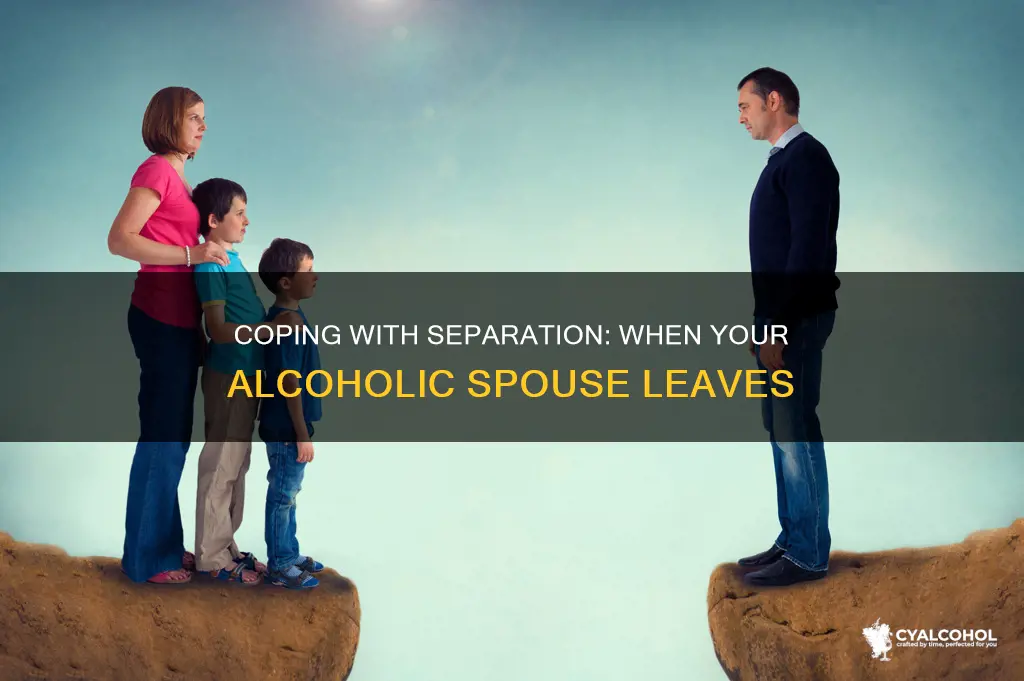 what to do if my alcoholic spouse wants to separate
