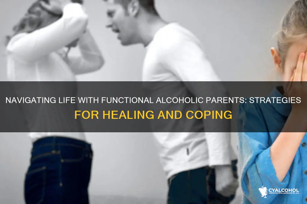 what to do if parents are functional alcoholics