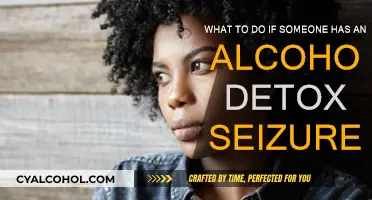 Alcohol Detox Seizure: What to Do and When to Act