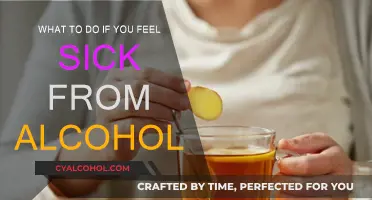 Alcohol-Induced Sickness: Quick and Easy Remedies