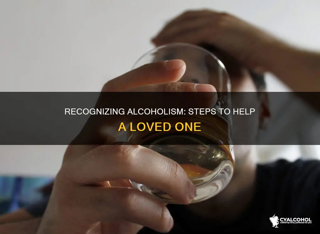 what to do if you think someone is alcoholic