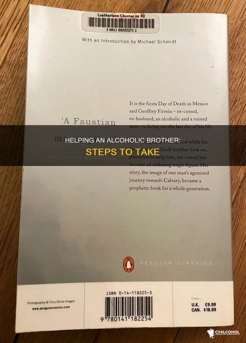 what to do if your brother is an alcoholic