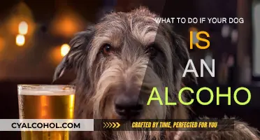 How to Help Your Dog With Alcohol Addiction