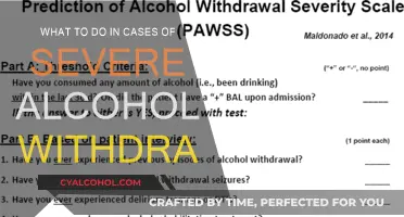Alcohol Withdrawal: Managing Severe Symptoms and Detox