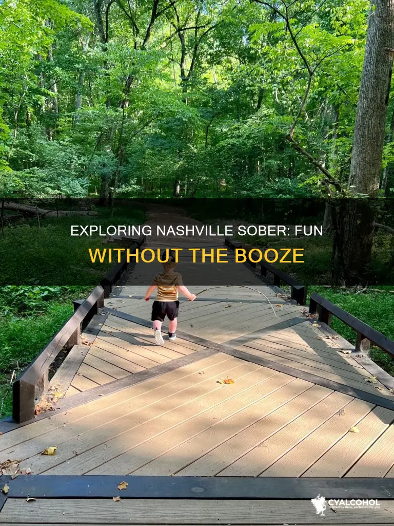 what to do in nashville that does not include alcohol