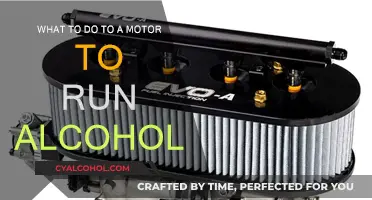 Alcohol-Fuelled Engines: Mods for Motor Performance
