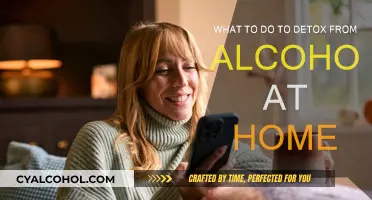 Alcohol Detox: Home Remedies for a Healthy Recovery