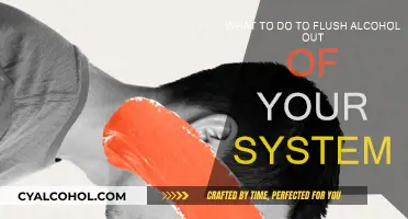 Flushing Alcohol Out: Quick and Natural Ways