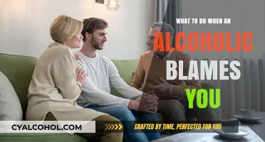 Handling Blame from an Alcoholic: Strategies for Self-Preservation and Boundaries