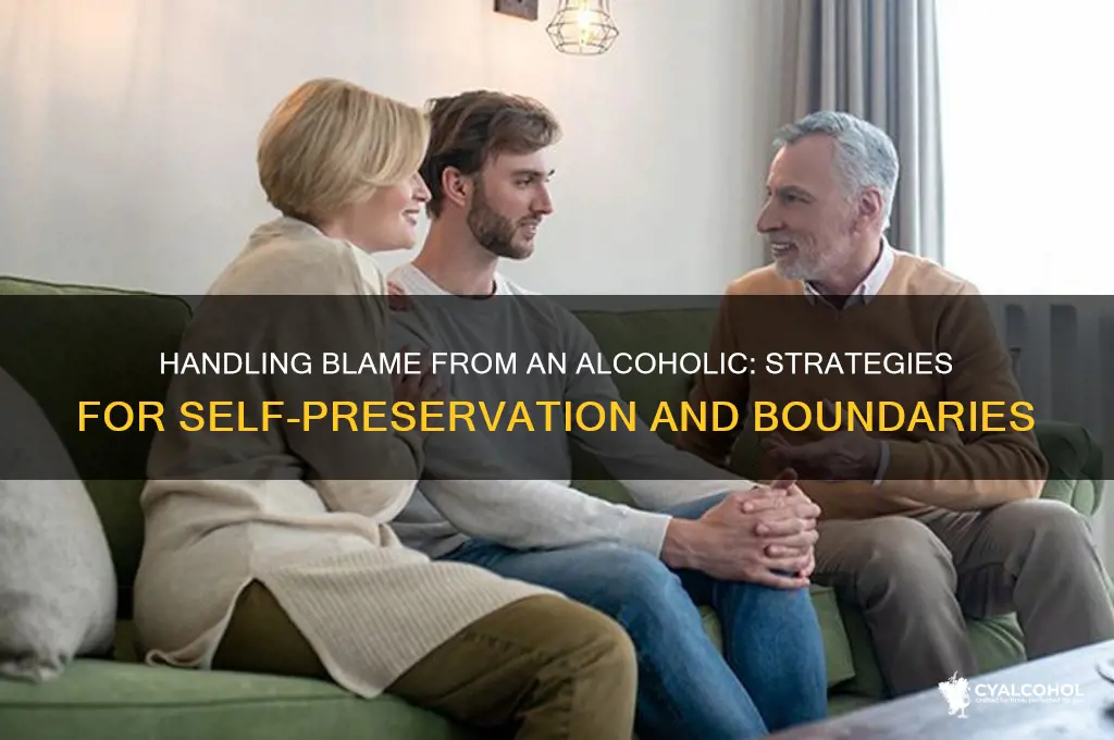 what to do when an alcoholic blames you