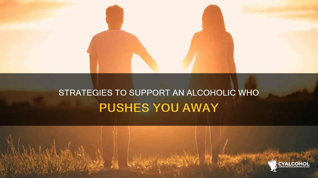 what to do when an alcoholic pushes you away