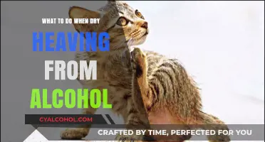 How to Stop Dry Heaving After Drinking Alcohol: Quick Remedies