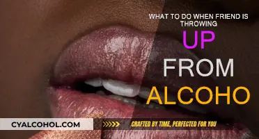 How to Help a Friend Who's Vomiting from Alcohol