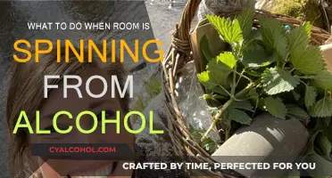 Stop the Spin: Alcohol-Induced Vertigo Remedies