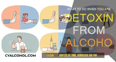 Strategies for a Safe Alcohol Detox Journey