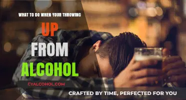 Alcohol-Induced Vomiting: Quick Remedies and Prevention