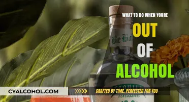 Sober Solutions: Creative Alternatives When Your Alcohol Supply Runs Dry