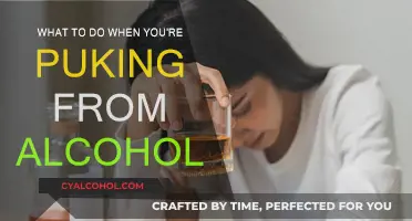 Alcohol-Induced Vomiting: Quick Remedies and Tips