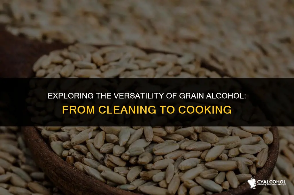 what to do with grain alcohol