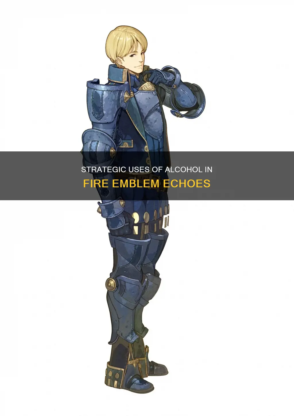 what to do with the alcohol in fire emblem echoes