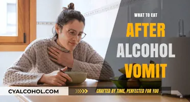 Recovering from Alcohol Vomiting: Nourishing Foods to Ease Your Stomach