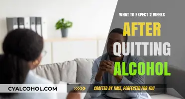 Life After Alcohol: Your First Two Weeks of Sobriety Explained