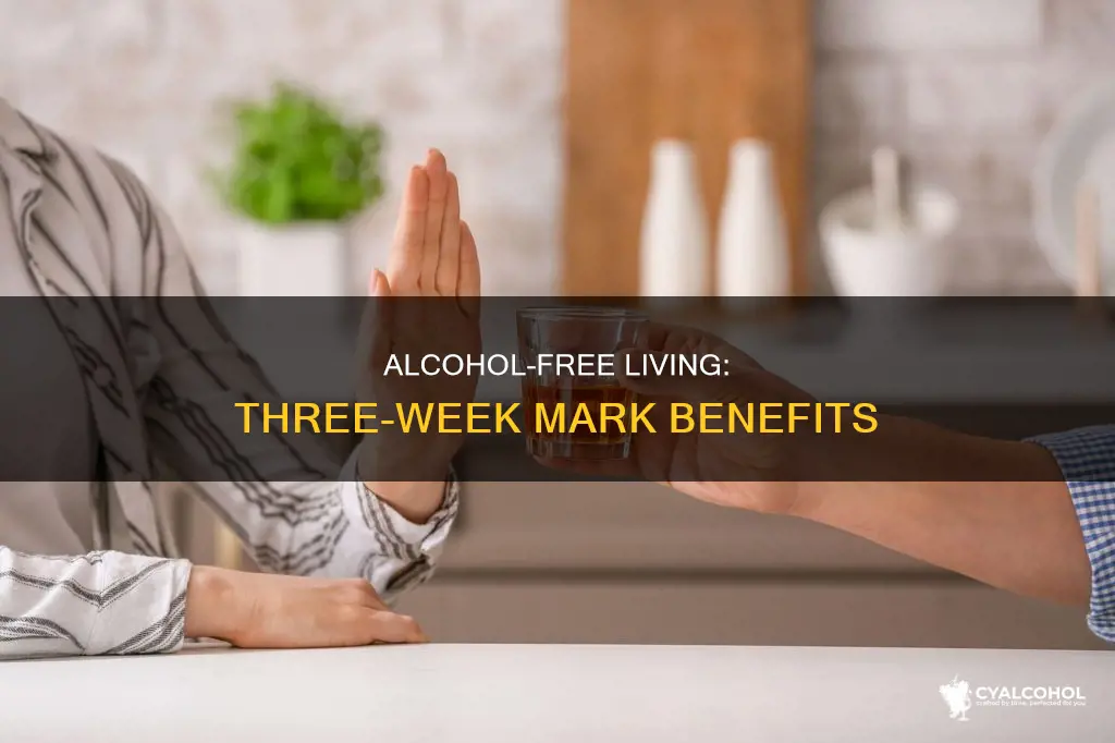 what to expect after 3 weeks of no alcohol