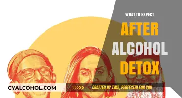 Navigating Sobriety: A Guide to Life After Alcohol Detox