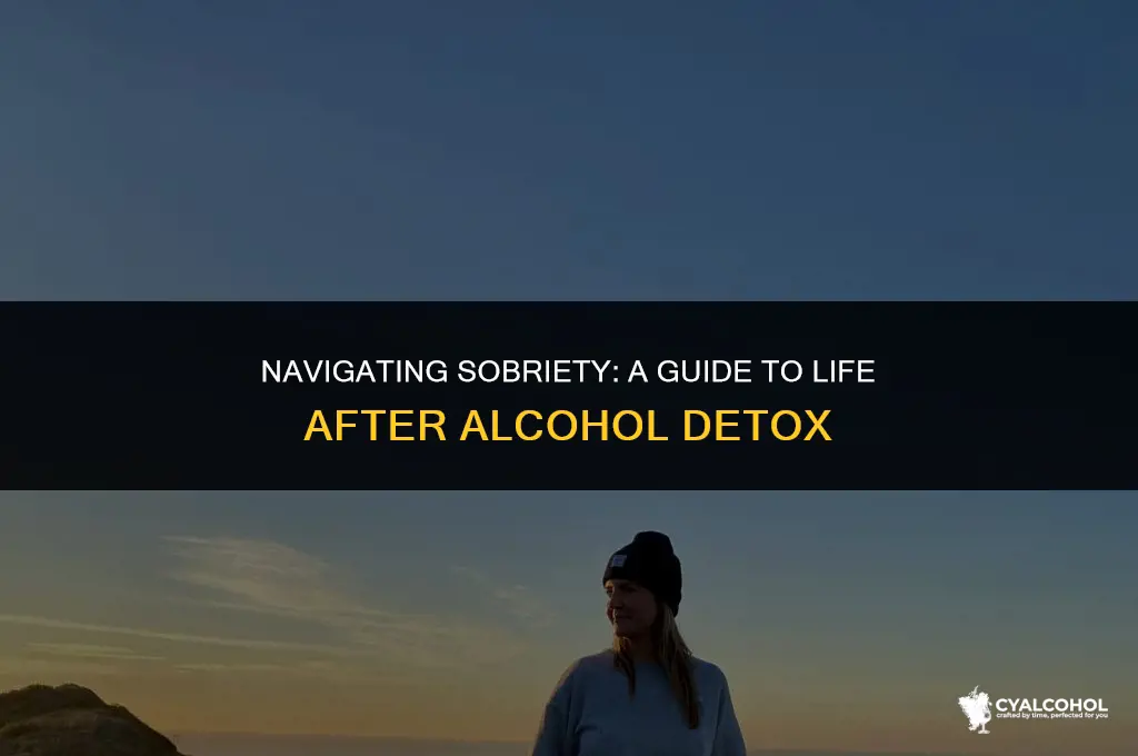 what to expect after alcohol detox