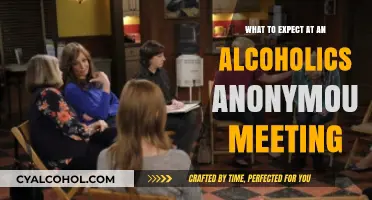 Inside AA Meetings: What to Expect and How to Prepare