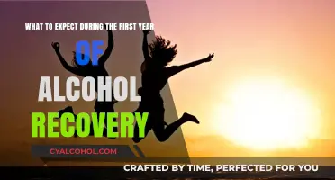 Navigating Sobriety: Your First Year of Alcohol Recovery