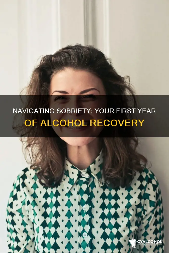 what to expect during the first year of alcohol recovery