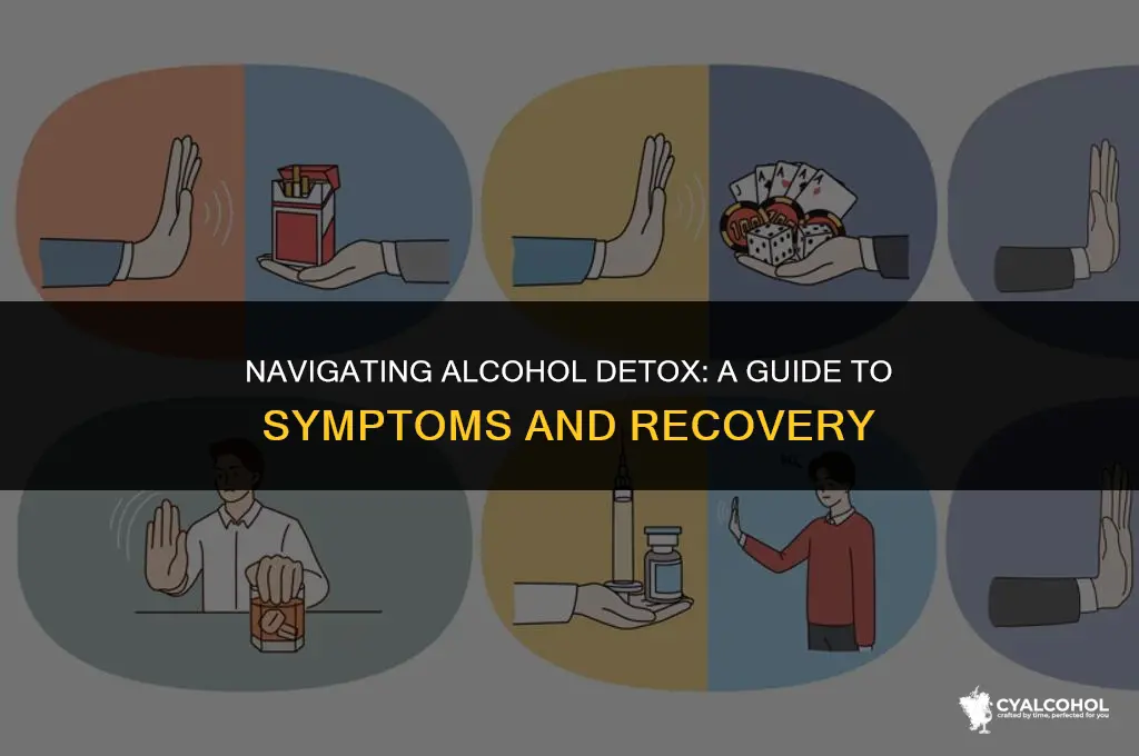 what to expect in alcohol detow
